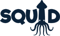 ICN SQUID